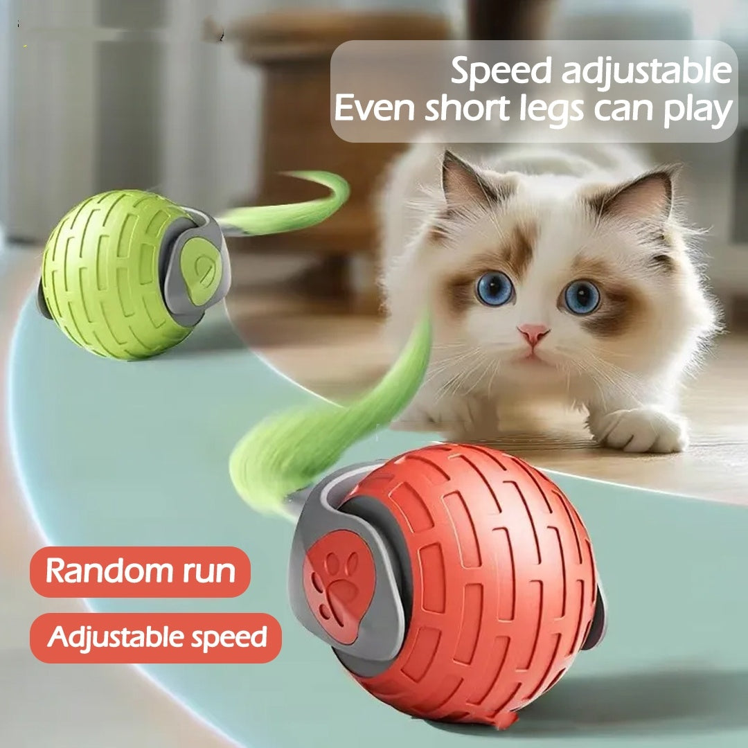 New Interactive Cat Toys