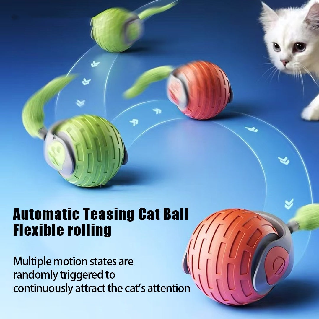 New Interactive Cat Toys