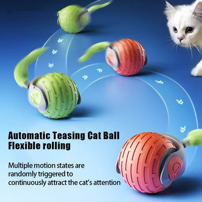 New Interactive Cat Toys