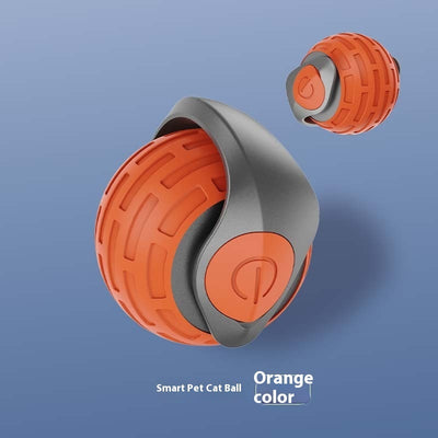 New Interactive Cat Toys